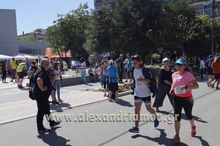 alexandriamou_1_alexandrinos_dromos133